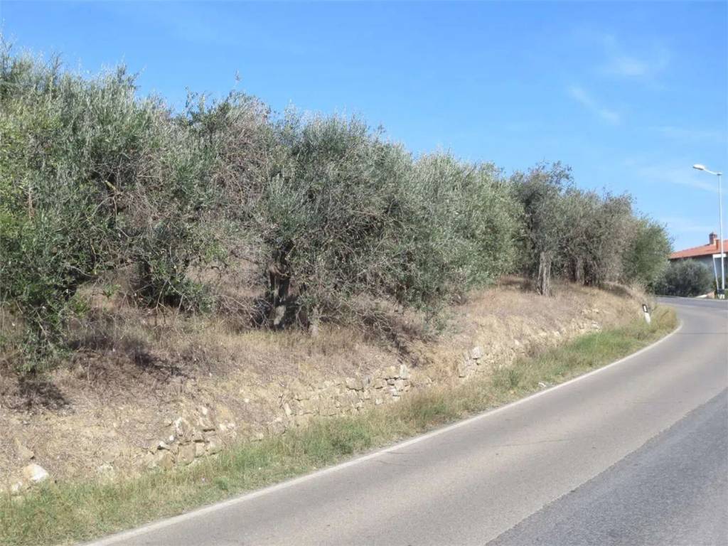 Terreno a Lucignano in Via Dei Procacci - Foto 4