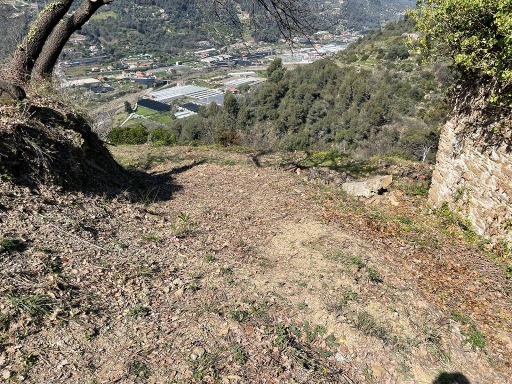 Terreno a San biagio della cima - Foto 3
