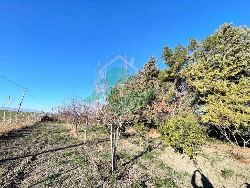 Terreno a Foggia in Strada Statale S.N.C. - Foto 3