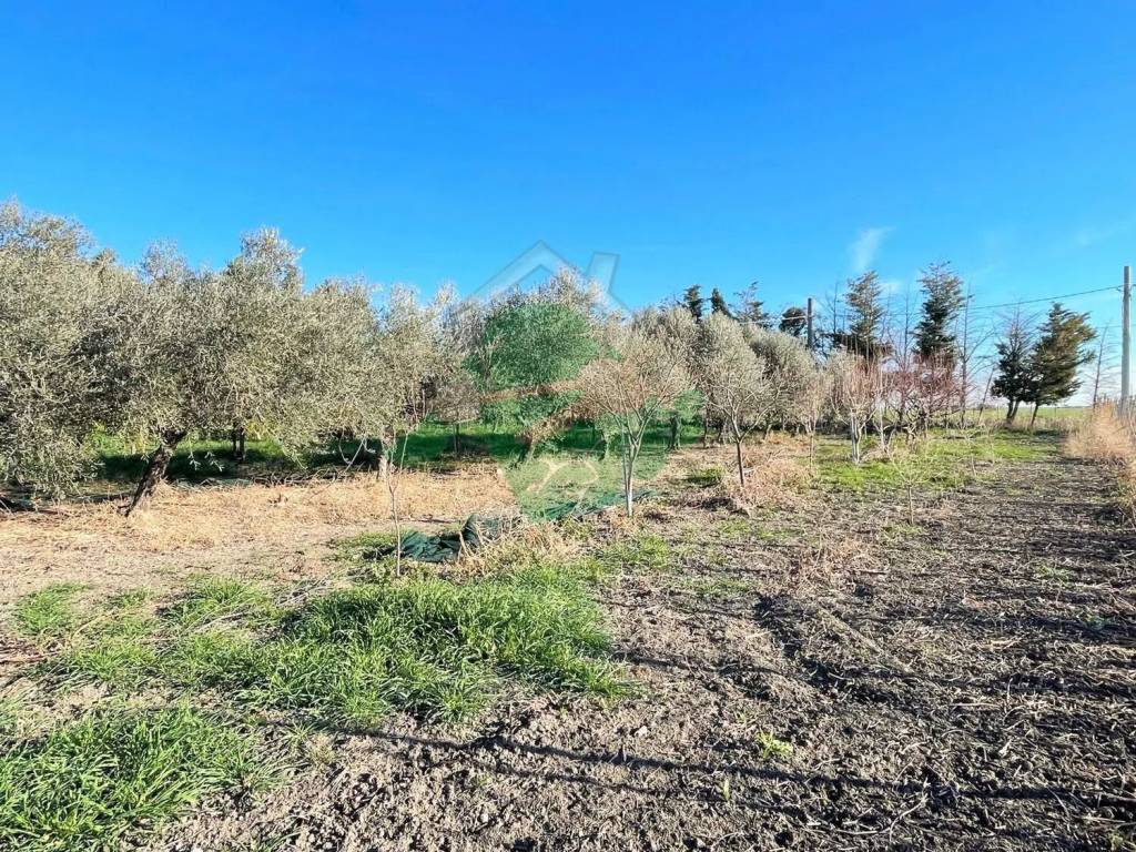 Terreno a Foggia in Strada Statale S.N.C. - Foto 4