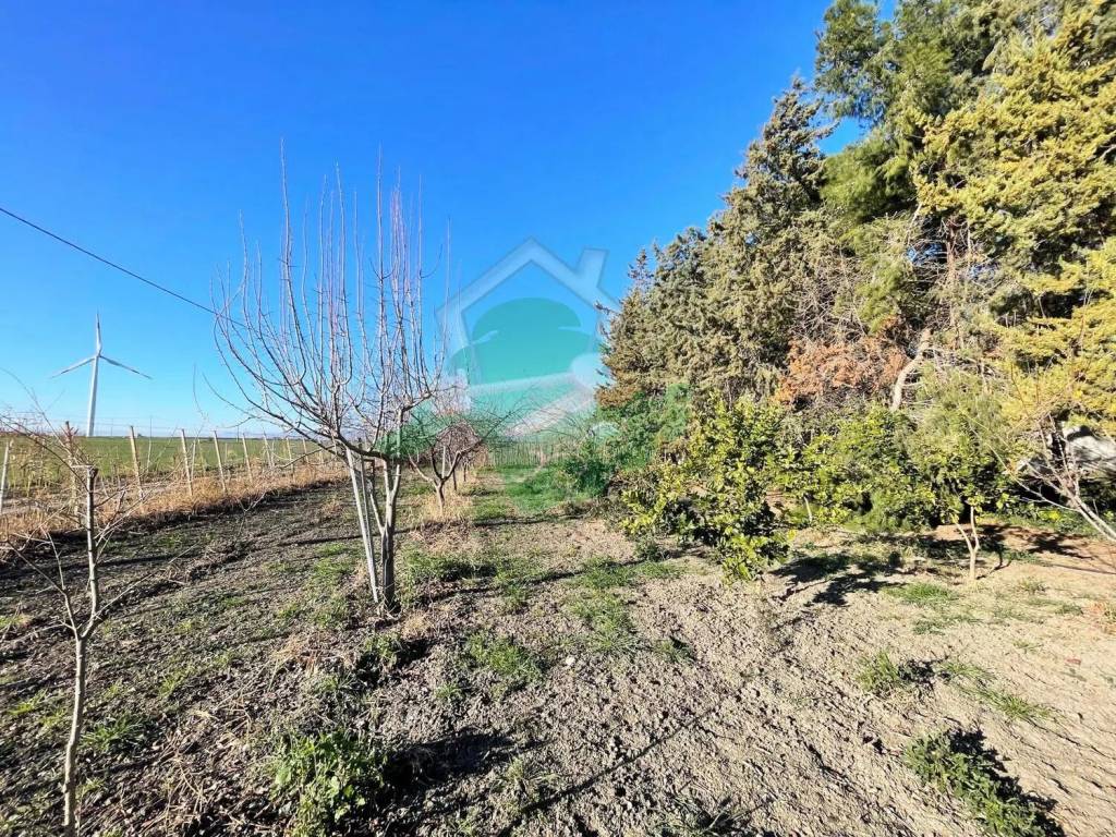 Terreno a Foggia in Strada Statale S.N.C. - Foto 5