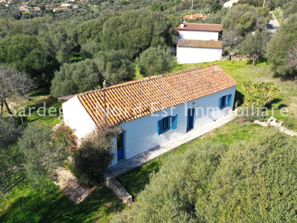 Rustico / casale a Loiri porto san paolo in Burrasca - Foto 2