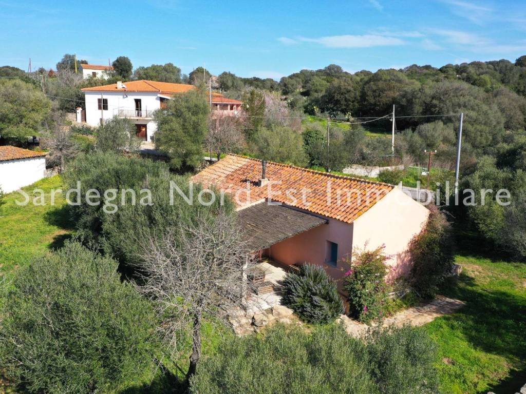 Rustico / casale a Loiri porto san paolo in Burrasca - Foto 5