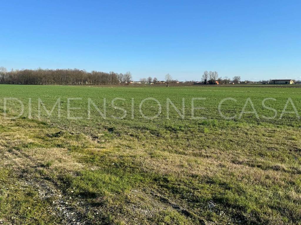 Terreno a Mirandola - Foto 2