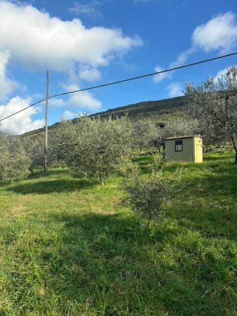 Terreno a Amelia in Via Rimembranze, 8 - Foto 2