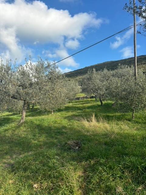 Terreno a Amelia in Via Rimembranze, 8 - Foto 3