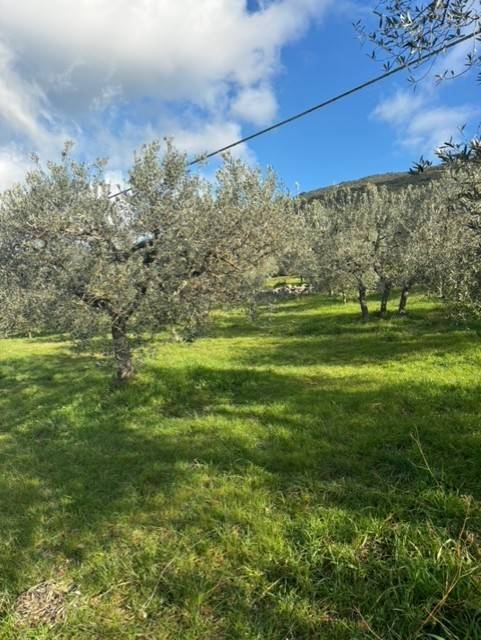 Terreno a Amelia in Via Rimembranze, 8 - Foto 4