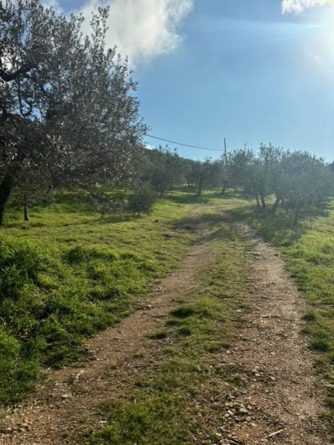 Terreno a Amelia in Via Rimembranze, 8 - Foto 5
