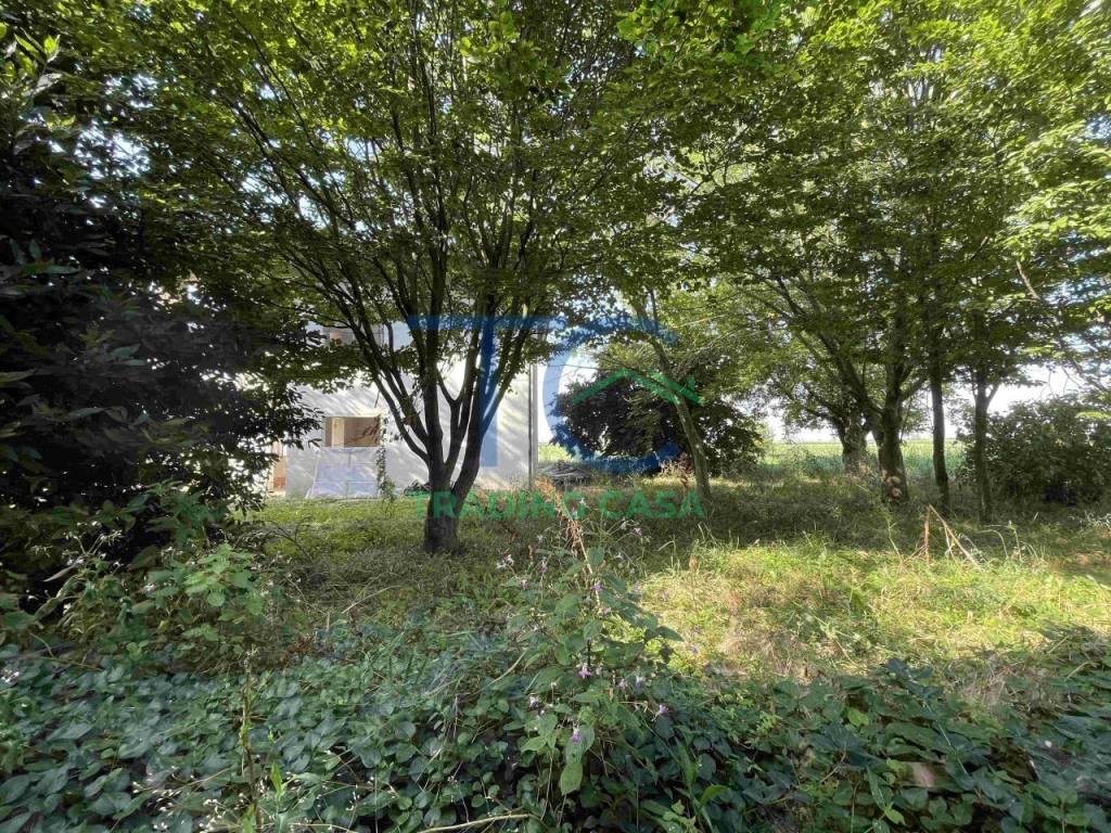 Villa a San pietro in cerro in via e. Fermi - Foto 3