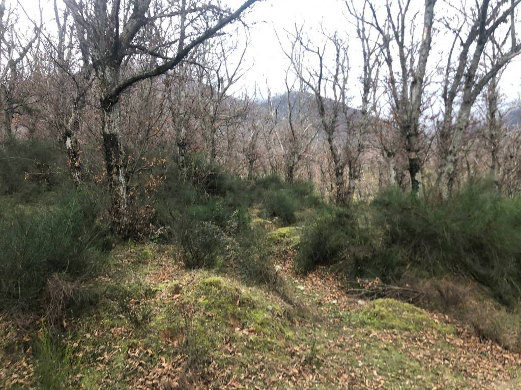 Terreno a Solofra in Strada Provinciale Turci - Foto 5