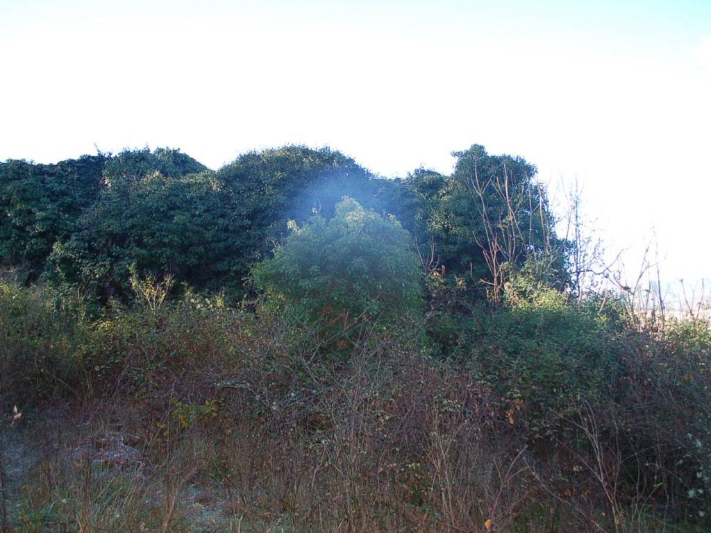Rustico / casale a Piegaro in Strada Provinciale di Piegaro Tratto 1 - Foto 3