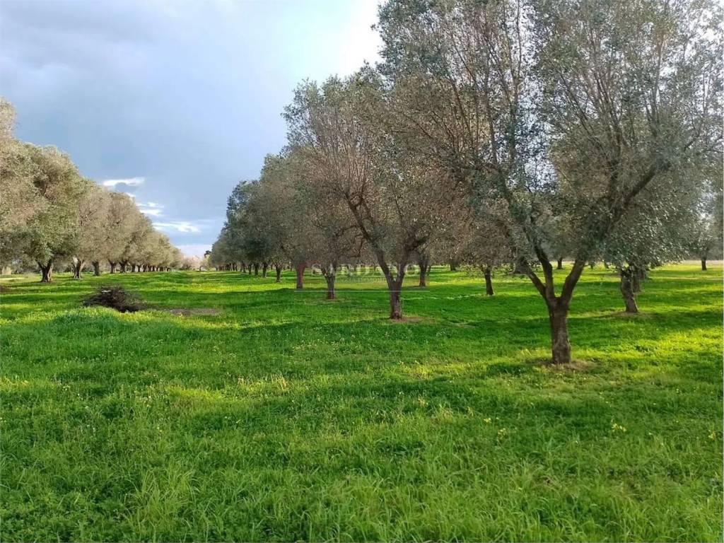 Rustico / casale a Brindisi in Via Apani No Number - Foto 2