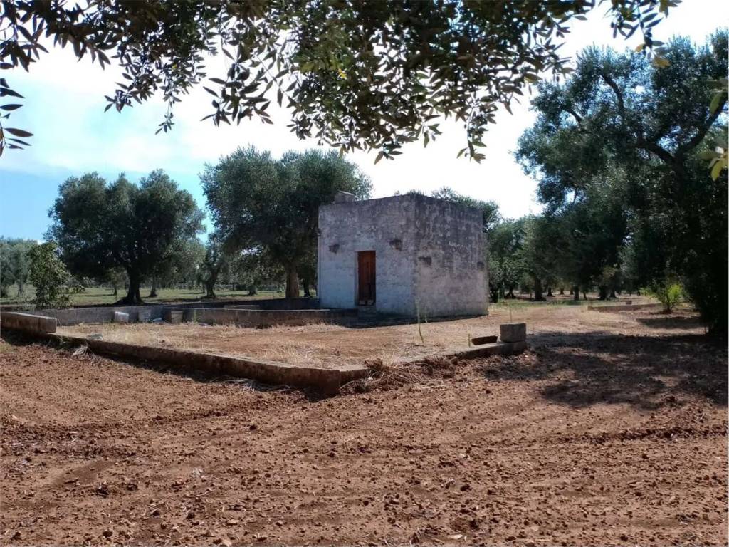 Rustico / casale a Carovigno - Foto 2