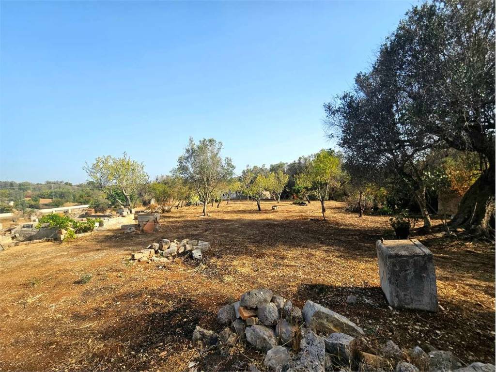 Rustico / casale a Carovigno - Foto 5