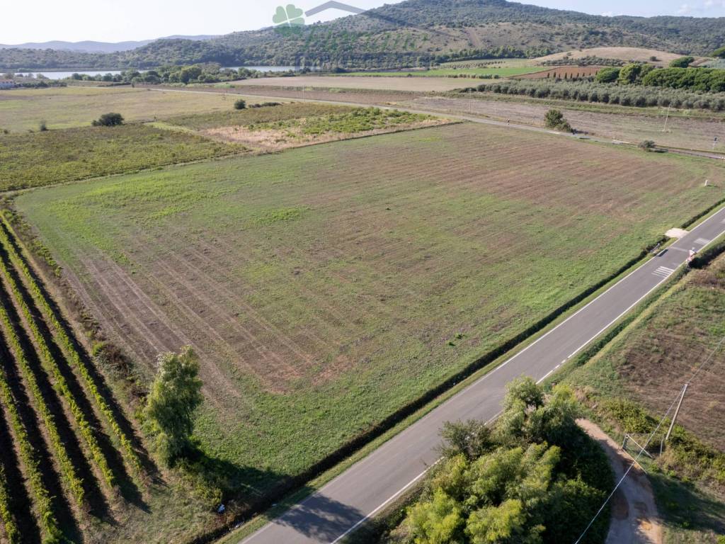 Terreno a Capalbio in Strada Pedemontana - Foto 3