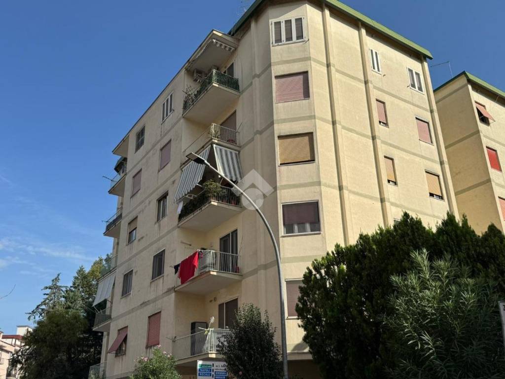 Appartamento a Caserta in Via trento, 10 - Foto 2