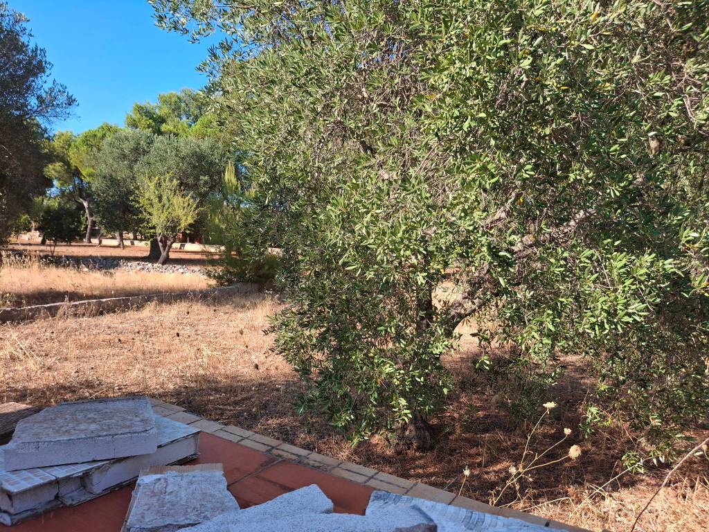 Rustico / casale a Grottaglie in Via delle Camelie, 40 - Foto 2