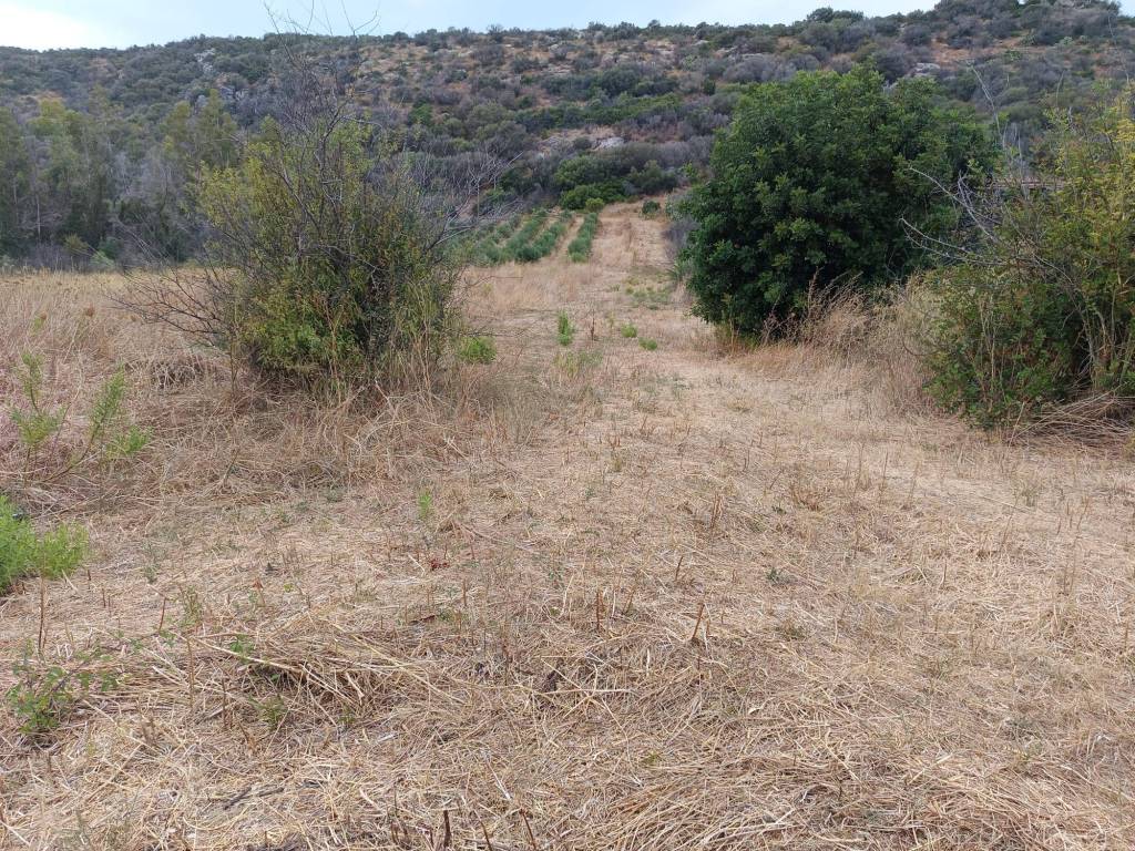 Terreno a Posada in STRADA STATALE - Foto 2