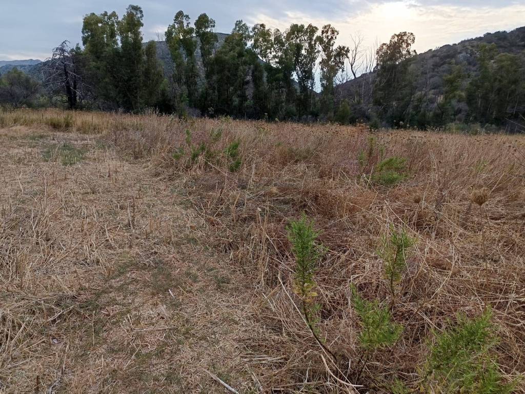 Terreno a Posada in STRADA STATALE - Foto 3
