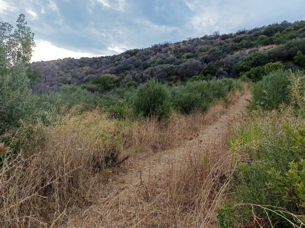 Terreno a Posada in STRADA STATALE - Foto 4