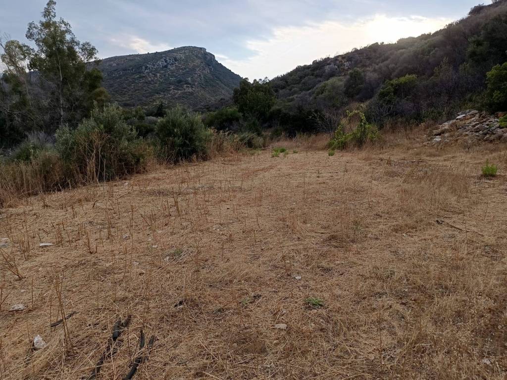 Terreno a Posada in STRADA STATALE - Foto 5