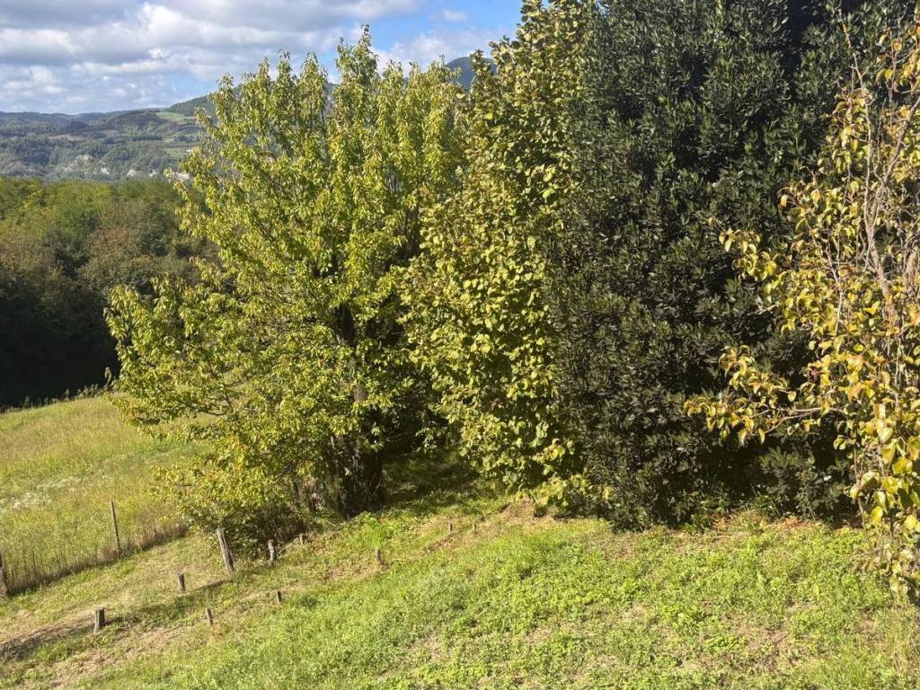 Villa a Mombaldone - Foto 4