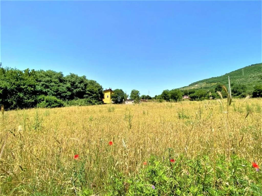 Terreno a Cittaducale in Via Nucleo Cesoni, 1 - Foto 5