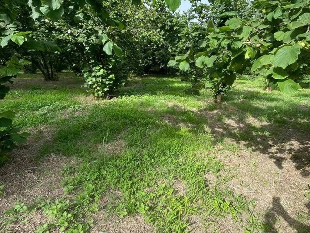 Villa a Teano - Foto 2