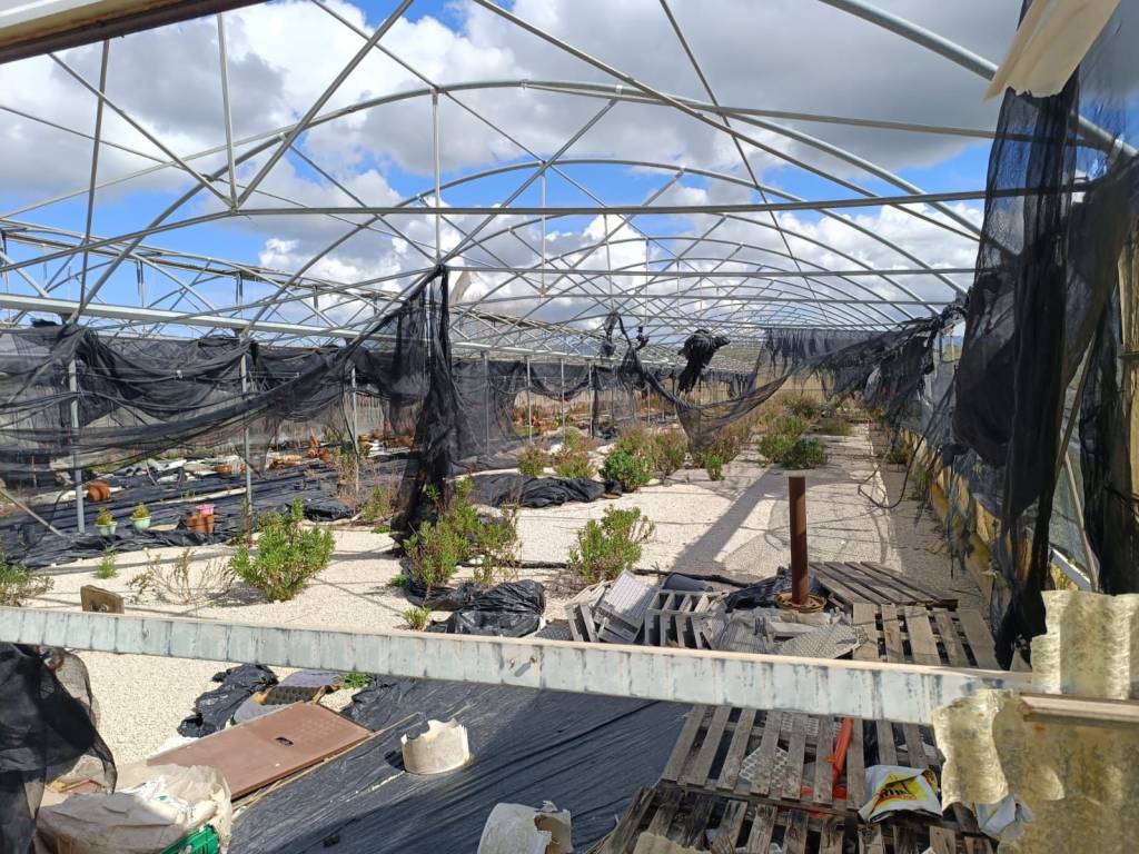 Terreno a Balestrate in contrada Arnao - Foto 2