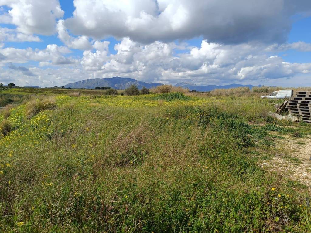 Terreno a Balestrate in contrada Arnao - Foto 3