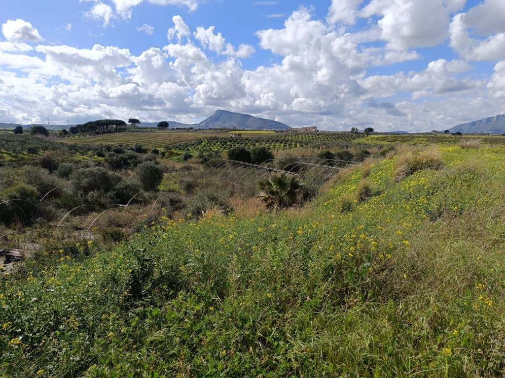 Terreno a Balestrate in contrada Arnao - Foto 4