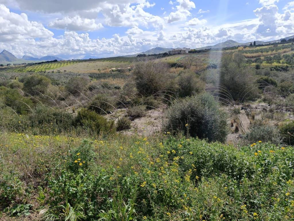 Terreno a Balestrate in contrada Arnao - Foto 5