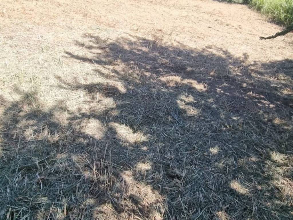 Terreno a Settingiano in Via Assunta - Foto 2