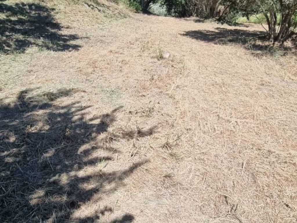 Terreno a Settingiano in Via Assunta - Foto 3