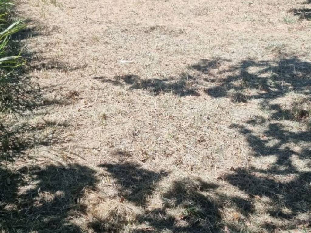 Terreno a Settingiano in Via Assunta - Foto 5