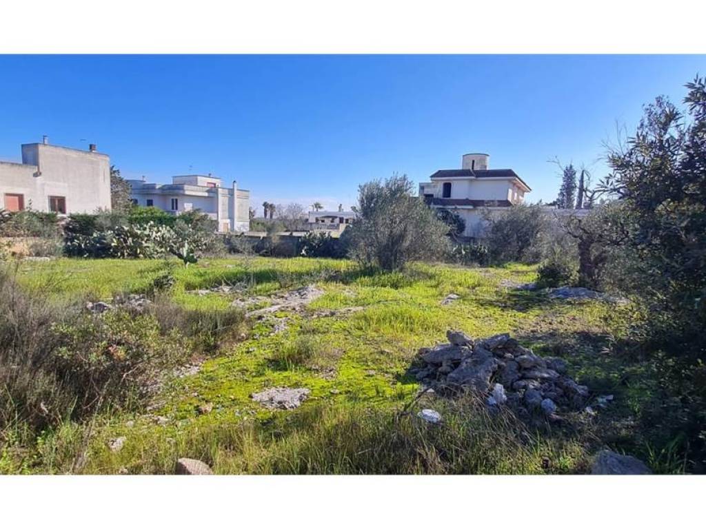 Terreno a Collepasso in Via Roma, 215 - Foto 3