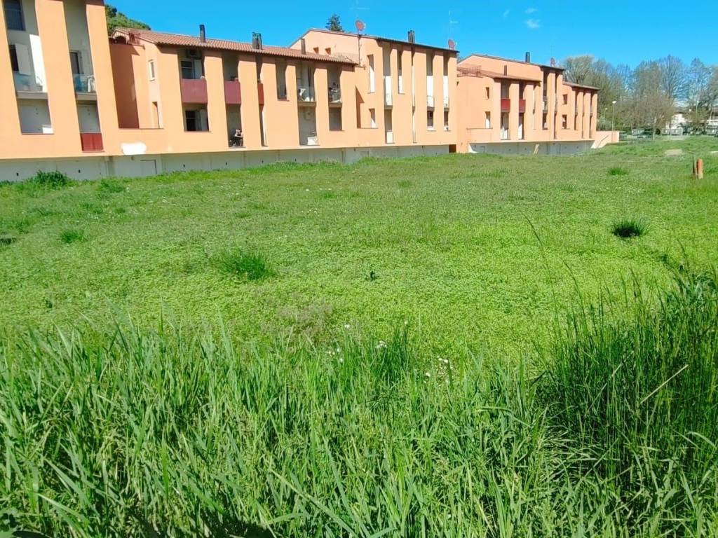 Terreno a Brisighella - Foto 2