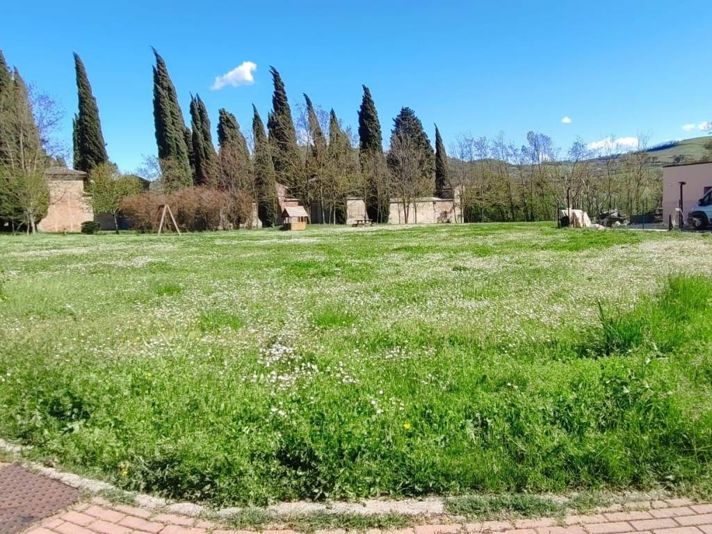 Terreno a Brisighella - Foto 3