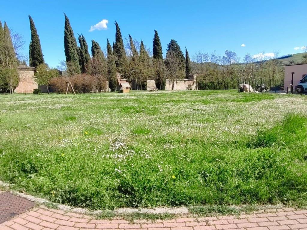 Terreno a Brisighella - Foto 5