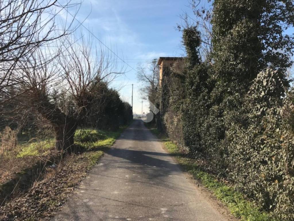 Terreno a Buttapietra - Foto 3
