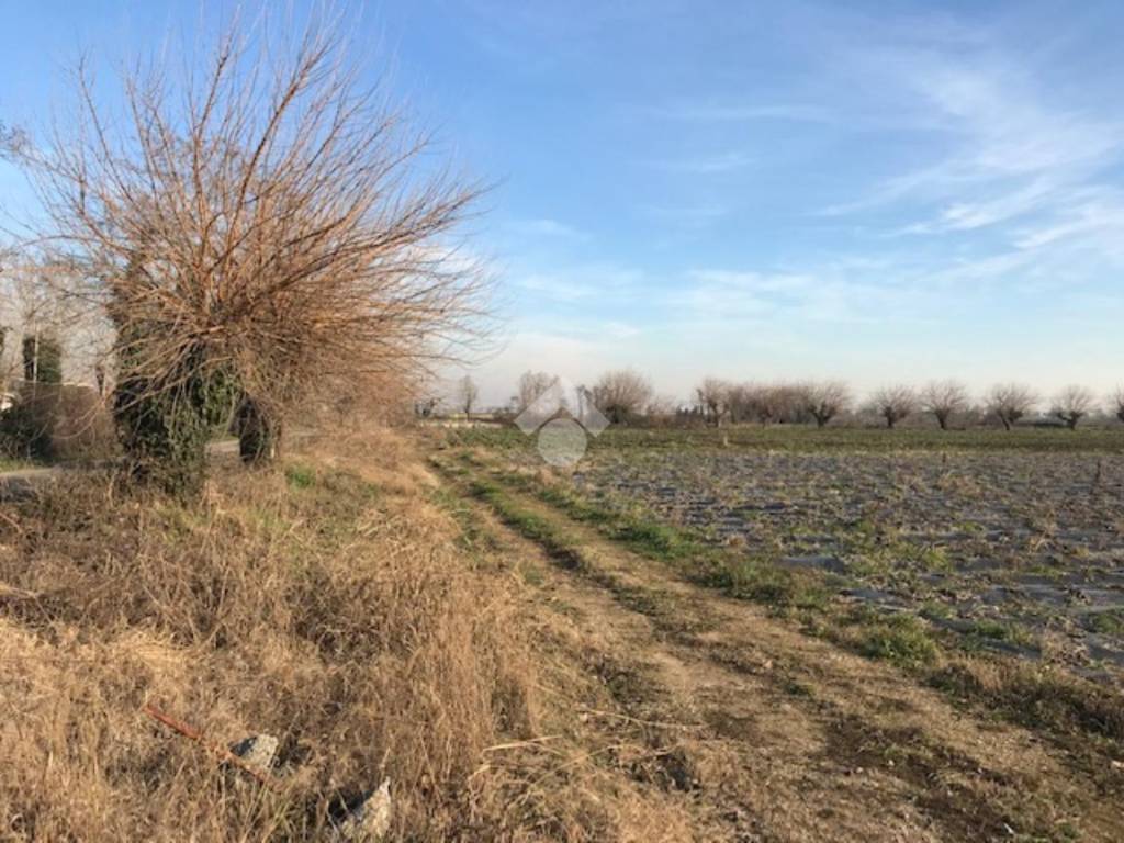 Terreno a Buttapietra - Foto 4