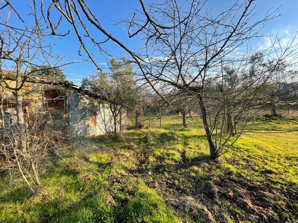 Rustico / casale a San nicola manfredi in Via Baglivi - Foto 2