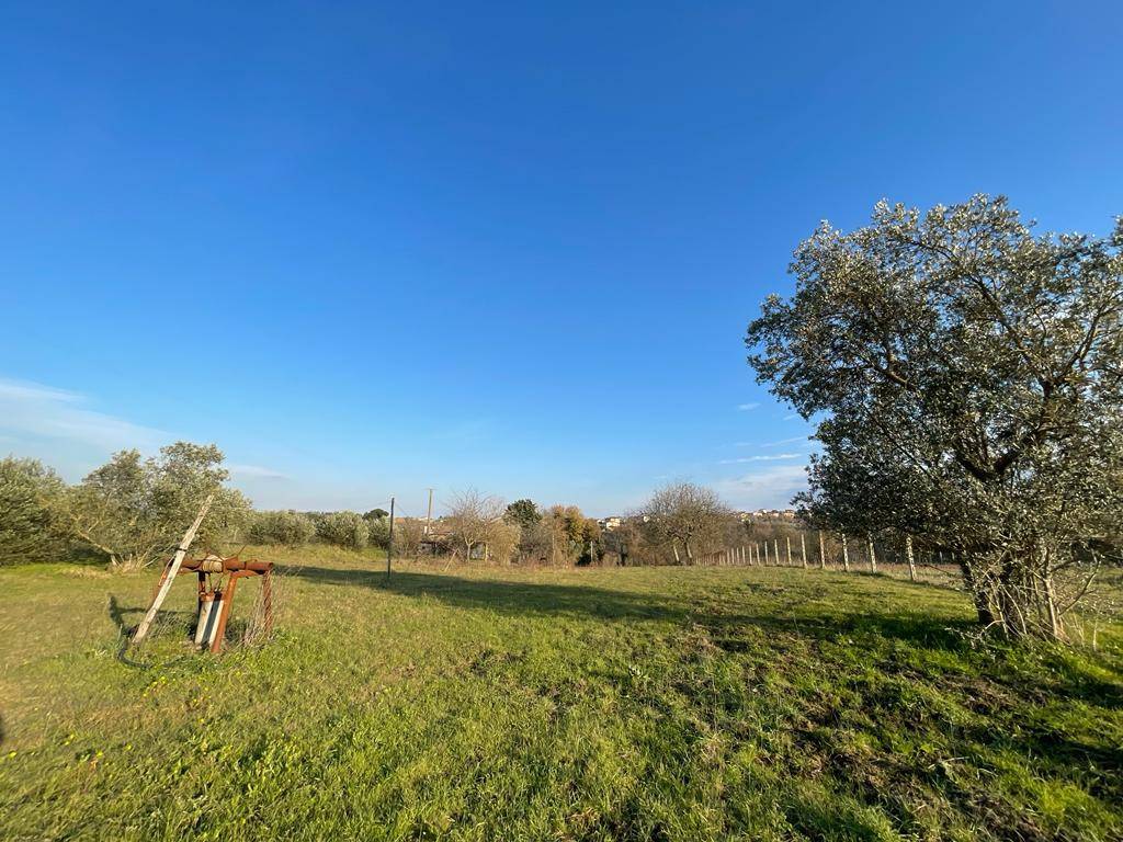 Rustico / casale a San nicola manfredi in Via Baglivi - Foto 3