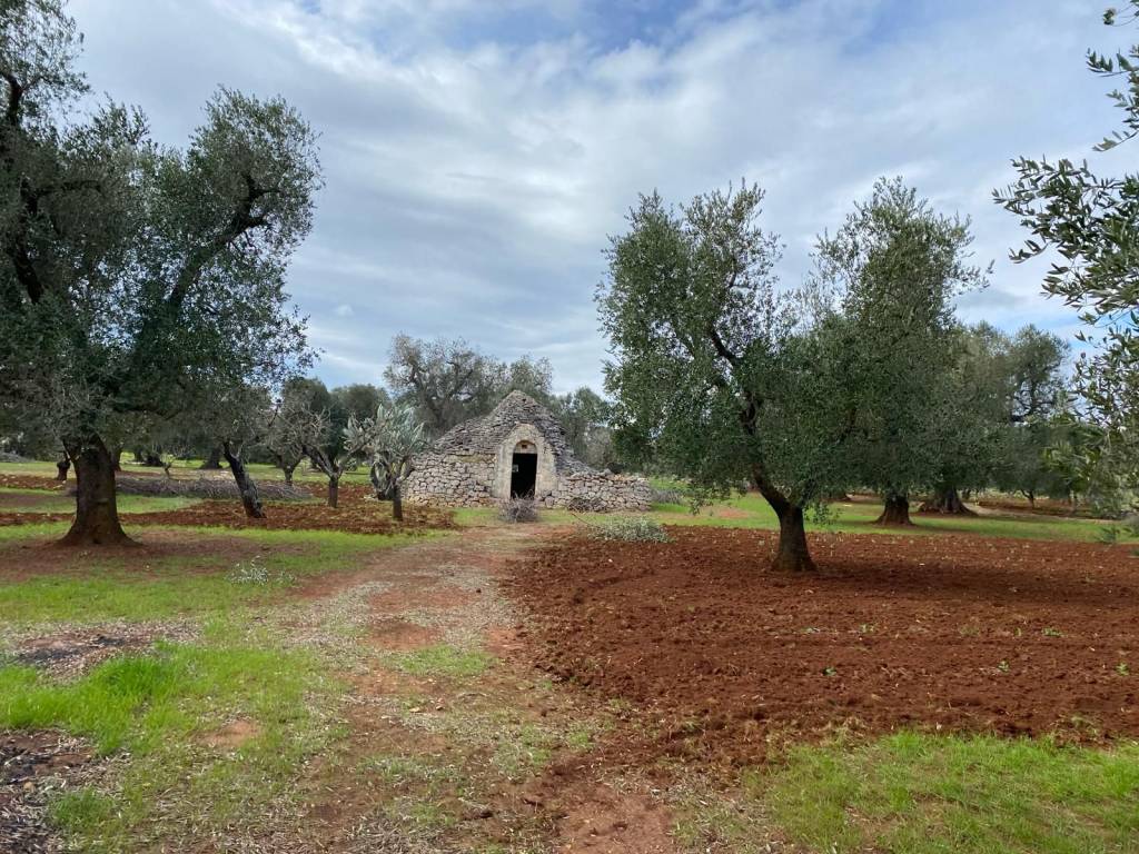 Rustico / casale a San michele salentino in CONTRADA POZZO PALLONE - Foto 3