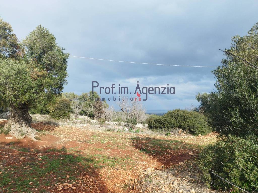 Terreno a Carovigno - Foto 2