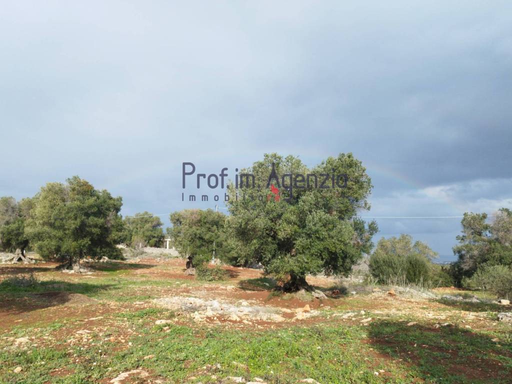 Terreno a Carovigno - Foto 3