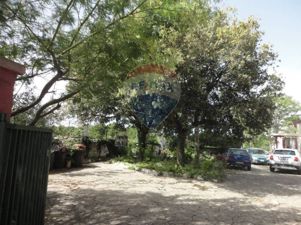 Casa indipendente a Monopoli in Contrada Gorgofreddo - Foto 4