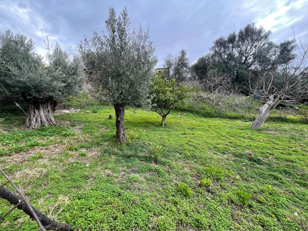 Terreno a Reggio calabria in Via Vito Inferiore - Foto 2