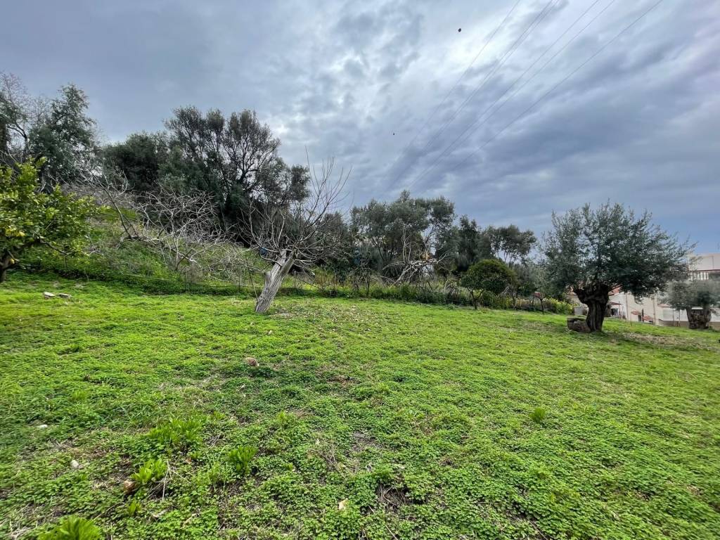 Terreno a Reggio calabria in Via Vito Inferiore - Foto 3