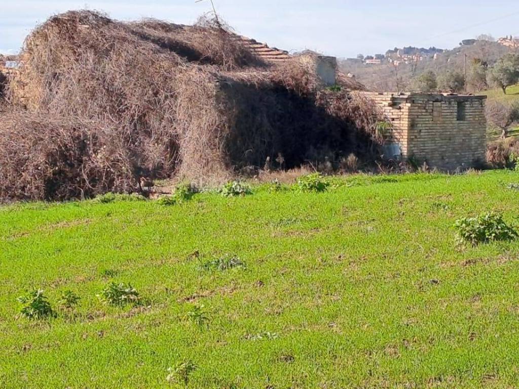 Rustico / casale a Massignano in contrada san pietro, 42 - Foto 4